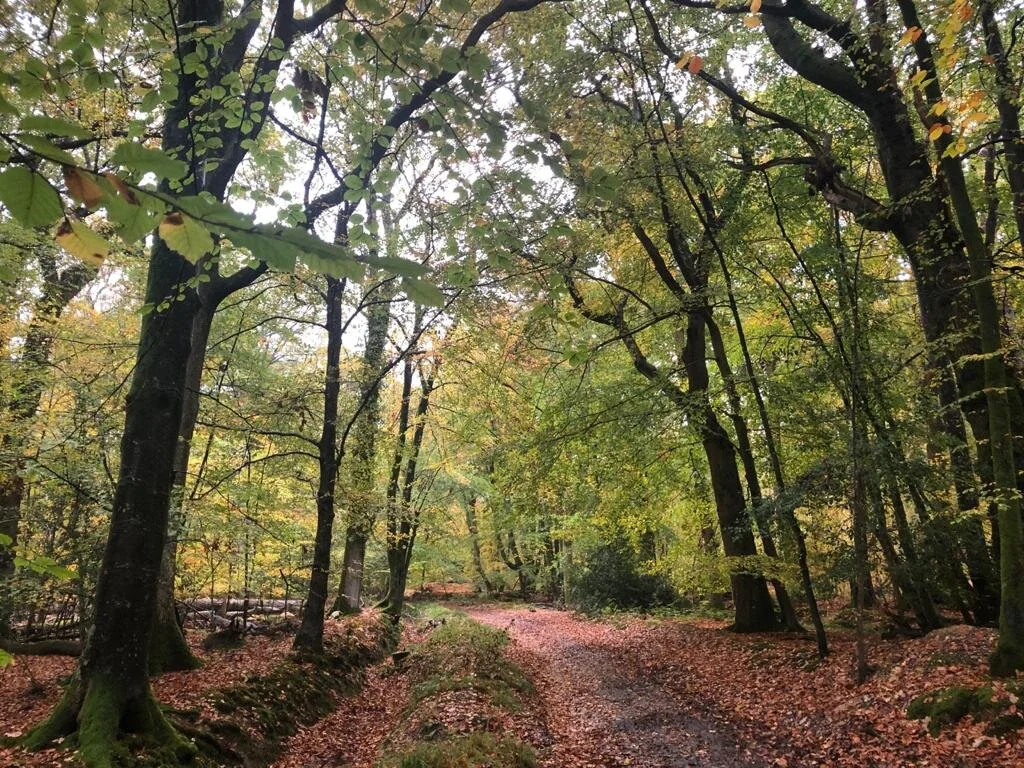 1piu1uguale3 2022 A/W FOREST DWELLER JKT Store 1 — New